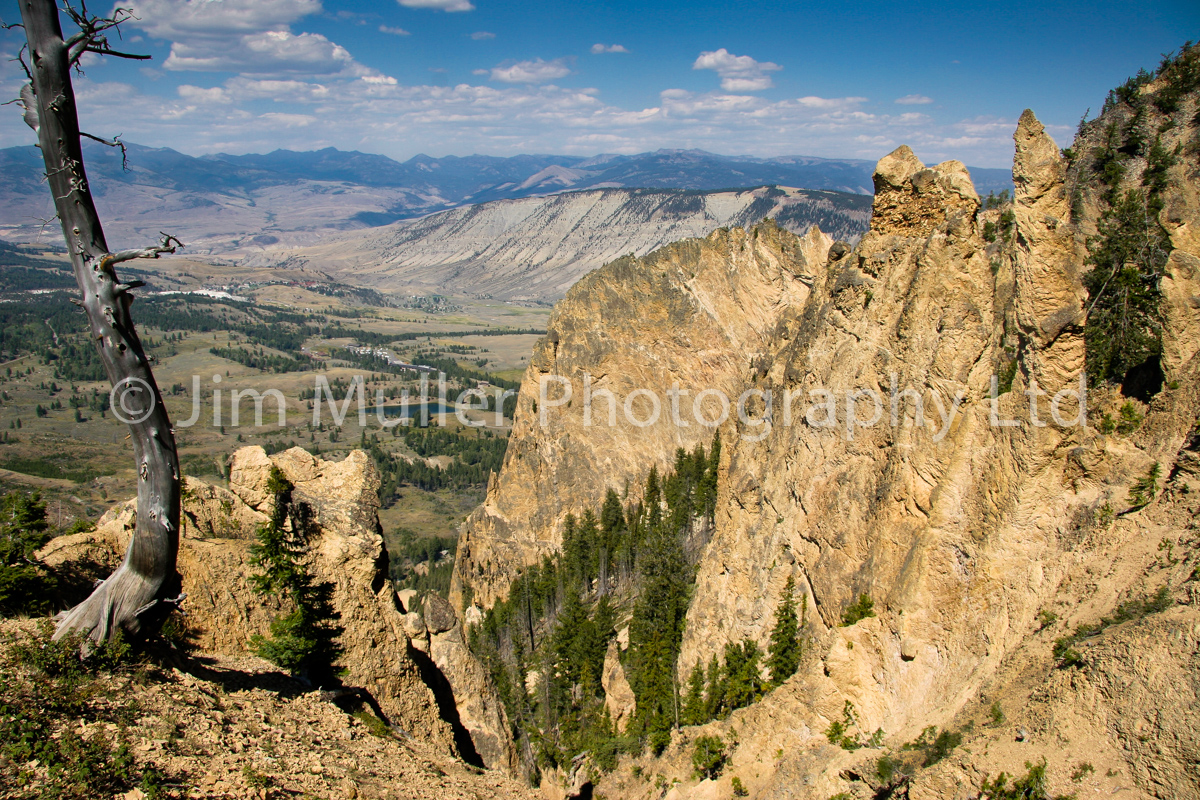 Yellowstone Vista