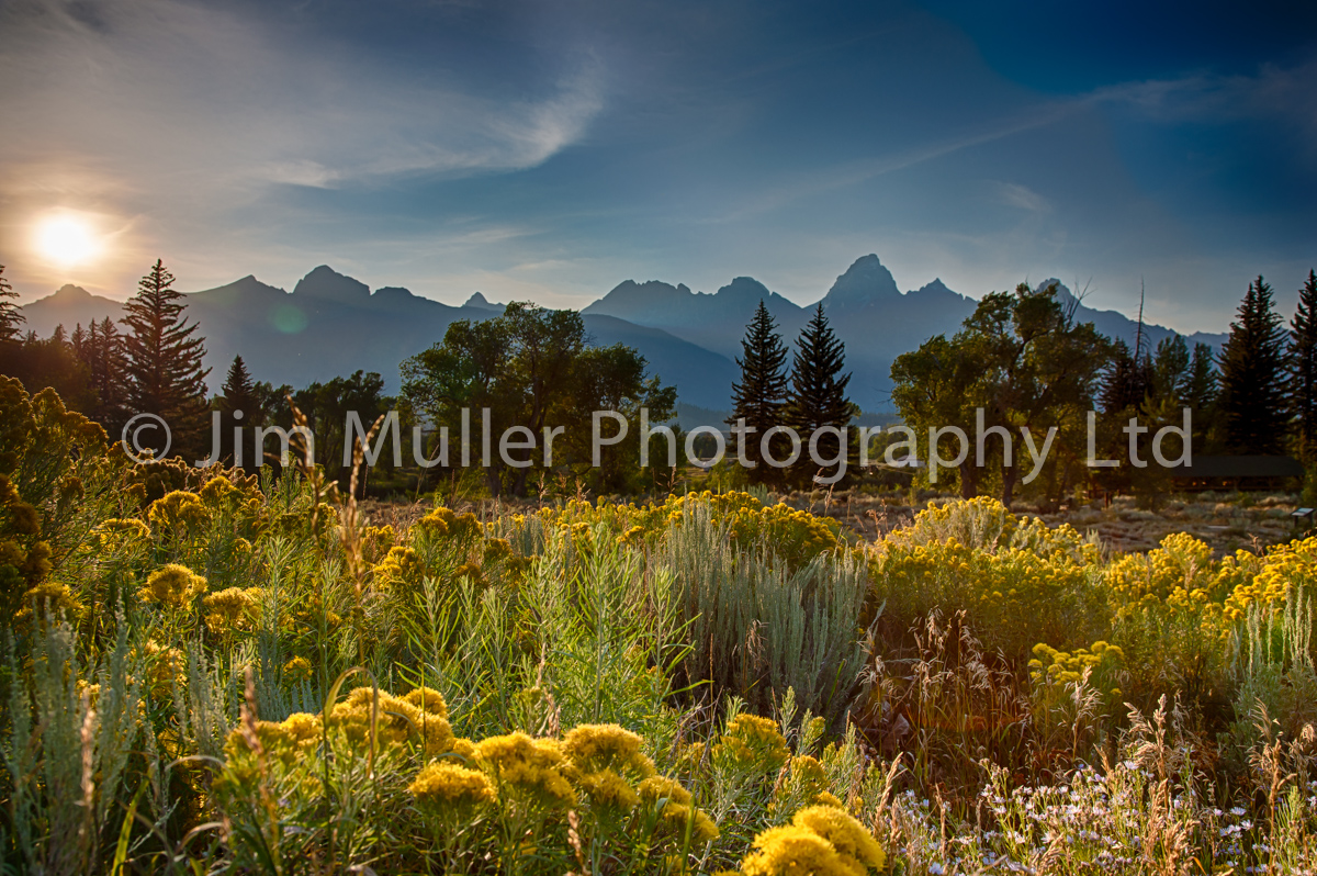 Grand Tetons